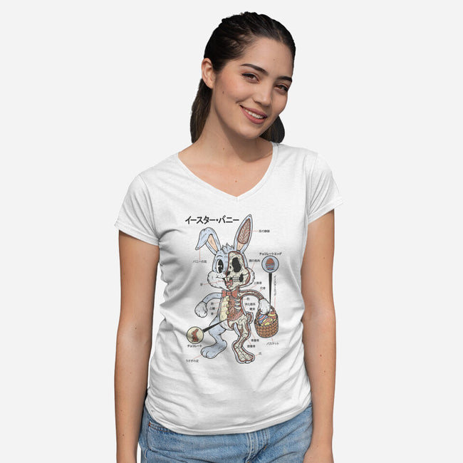 Easter Bunny Anatomy-Womens-V-Neck-Tee-Firebrander