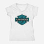 Flynns Arcade-Womens-V-Neck-Tee-Melonseta