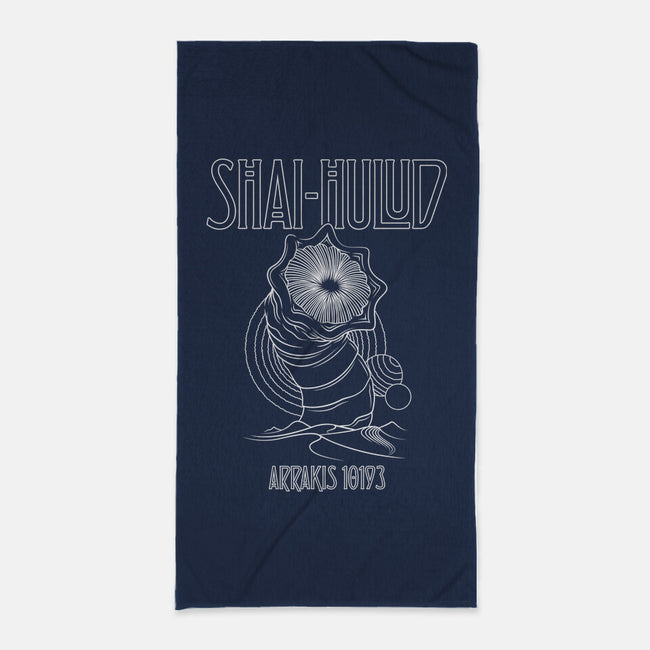 Kashmir-None-Beach-Towel-CappO