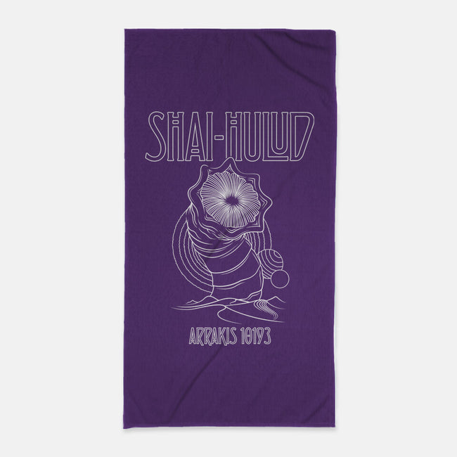 Kashmir-None-Beach-Towel-CappO