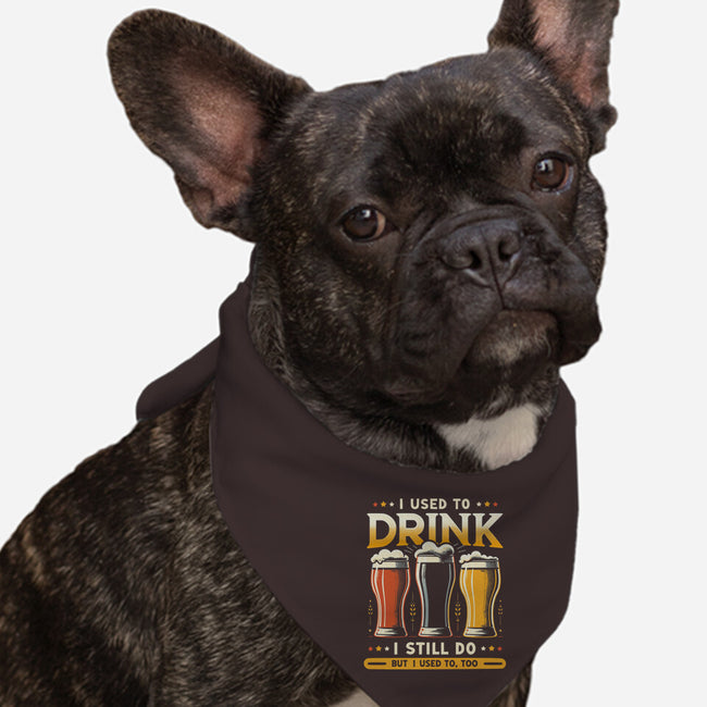 I Used To Drink-Dog-Bandana-Pet Collar-BridgeWalker