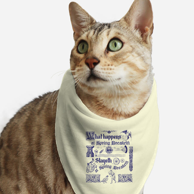 Ye Olde Spring Break-Cat-Bandana-Pet Collar-rocketman_art