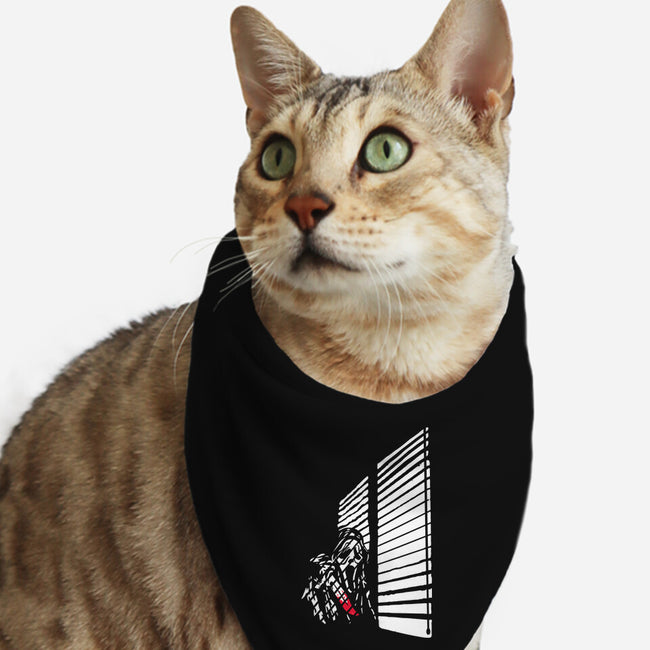 Surprise Sidney-Cat-Bandana-Pet Collar-dalethesk8er