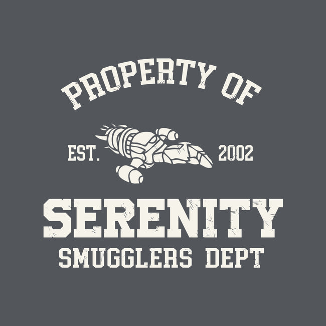 Property Of Serenity-Womens-V-Neck-Tee-Melonseta