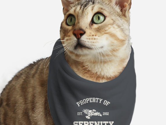 Property Of Serenity