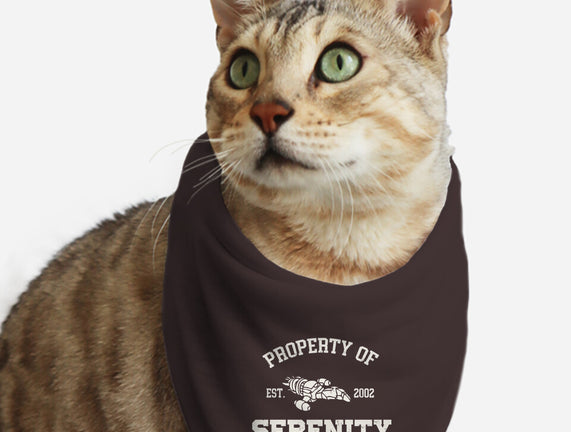 Property Of Serenity