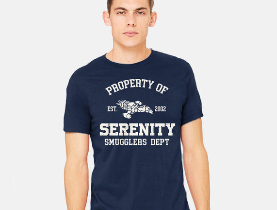 Property Of Serenity