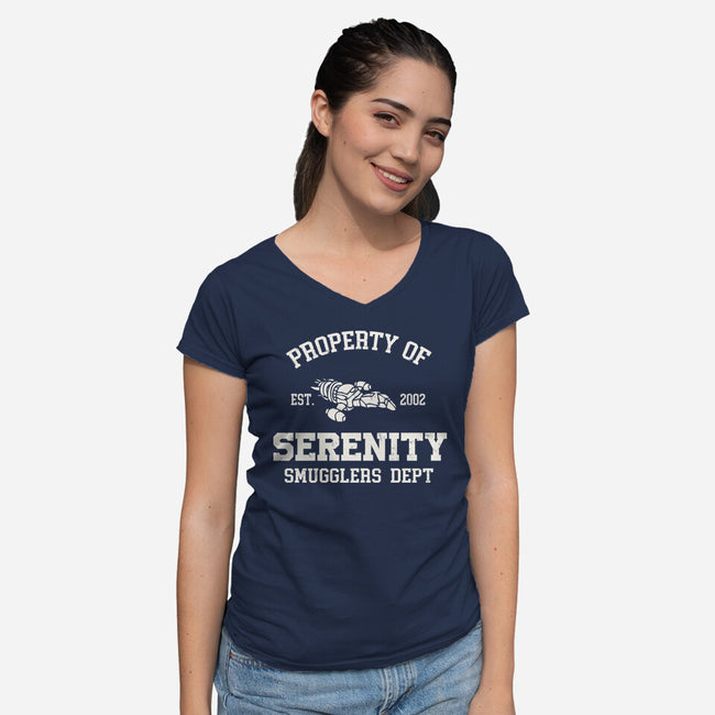 Property Of Serenity-Womens-V-Neck-Tee-Melonseta