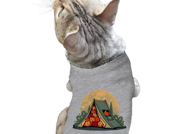 Cat Camping