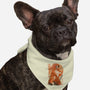 Red Fox Samurai-Dog-Bandana-Pet Collar-dandingeroz