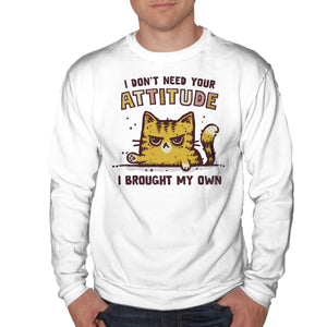 I Don't Need Your Attitude
