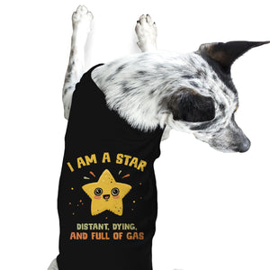 I Am A Star