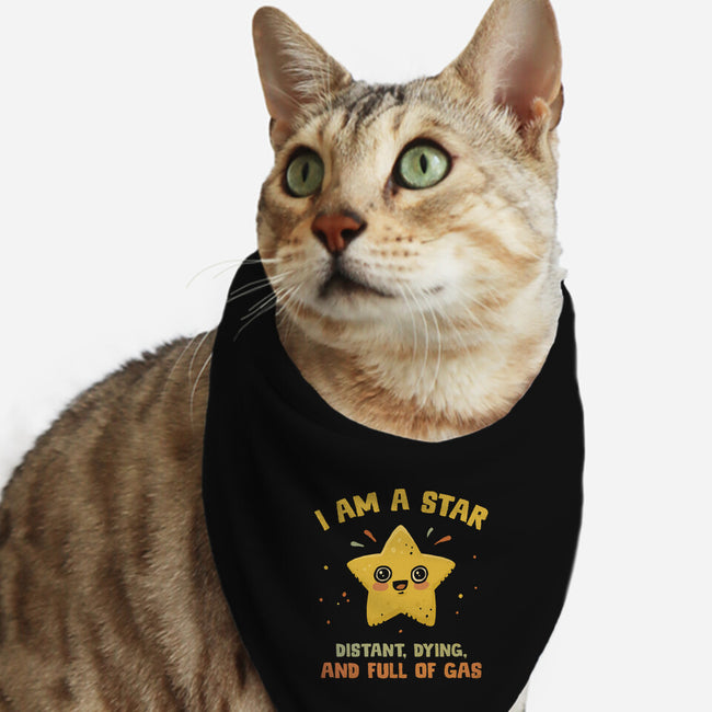 I Am A Star-Cat-Bandana-Pet Collar-kg07