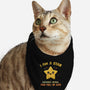 I Am A Star-Cat-Bandana-Pet Collar-kg07
