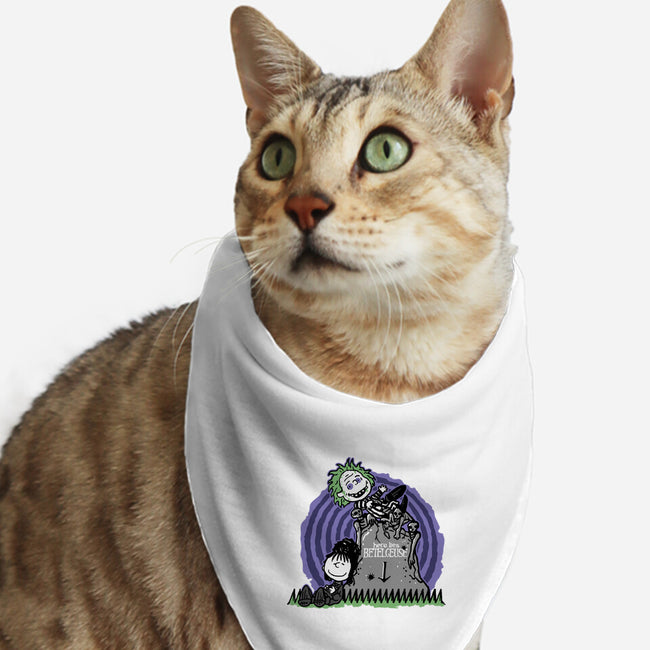 Beetlehouse-Cat-Bandana-Pet Collar-demonigote