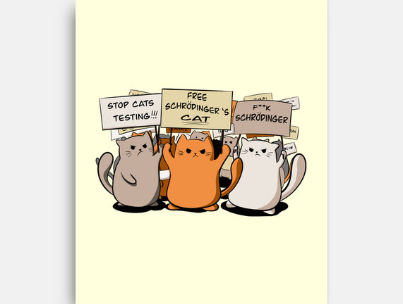 Cats Protest