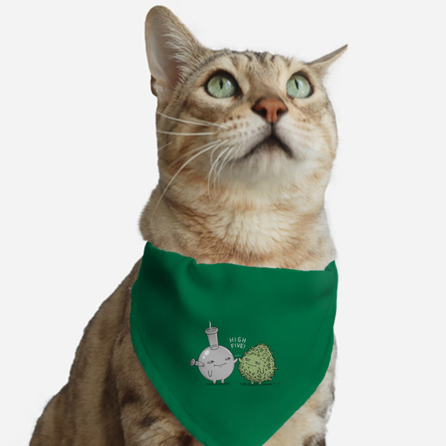 High Five Bud-Cat-Adjustable-Pet Collar-pigboom