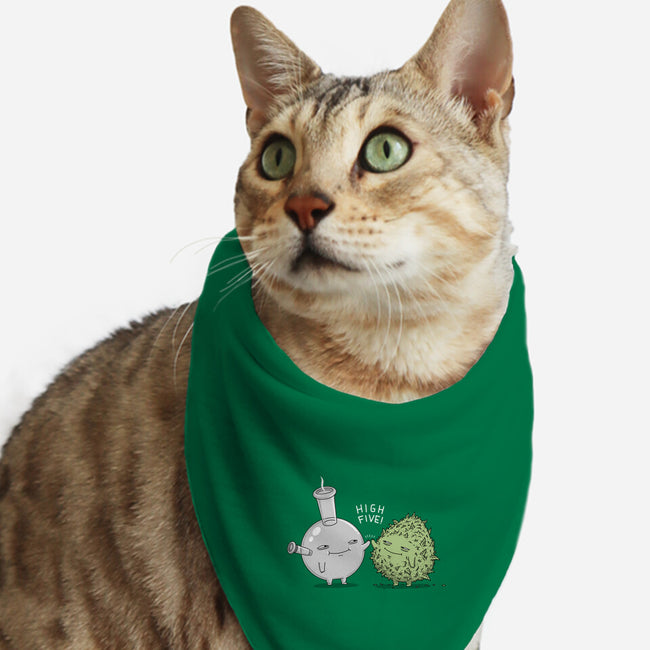 High Five Bud-Cat-Bandana-Pet Collar-pigboom