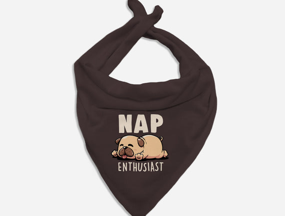 Nap Enthusiast