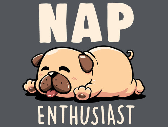 Nap Enthusiast