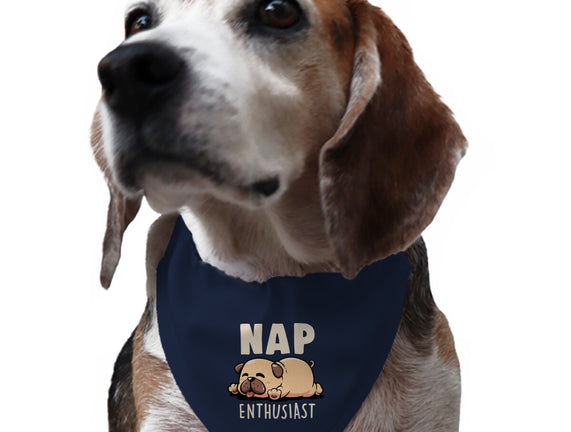 Nap Enthusiast