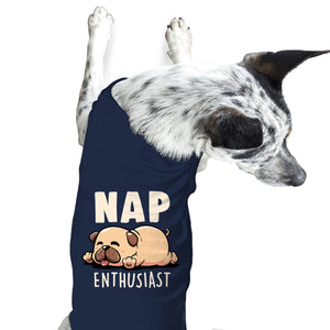 Nap Enthusiast