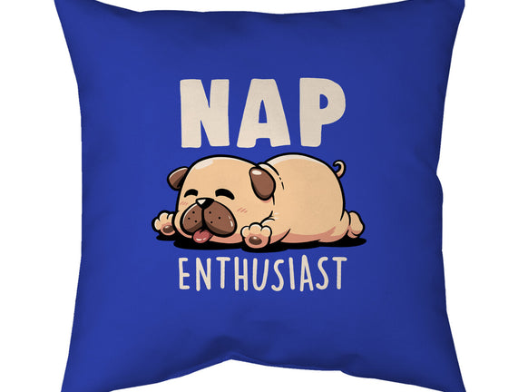 Nap Enthusiast