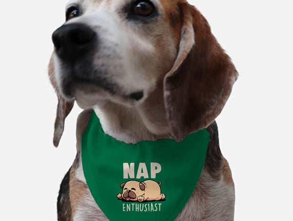 Nap Enthusiast