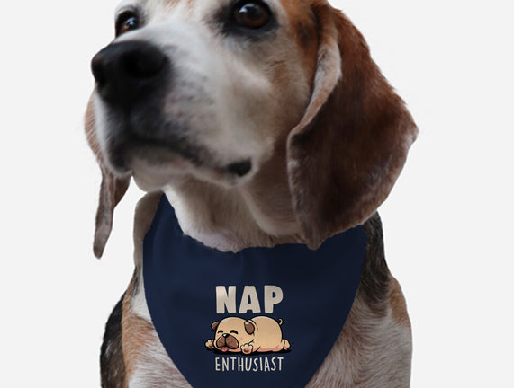 Nap Enthusiast