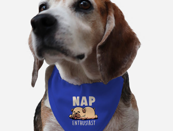 Nap Enthusiast