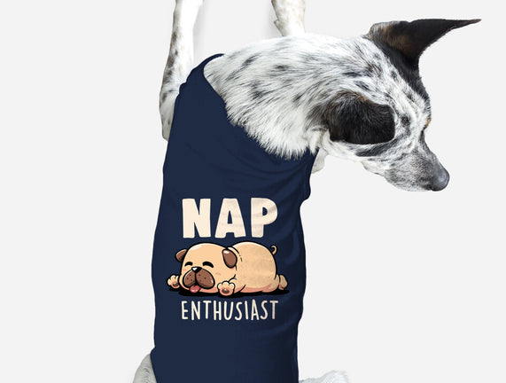 Nap Enthusiast