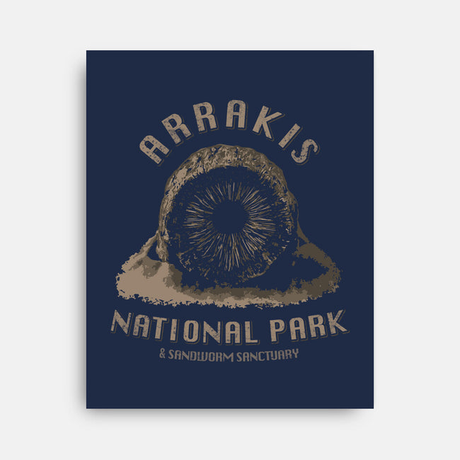 Arrakis National Park-None-Stretched-Canvas-bomdesignz