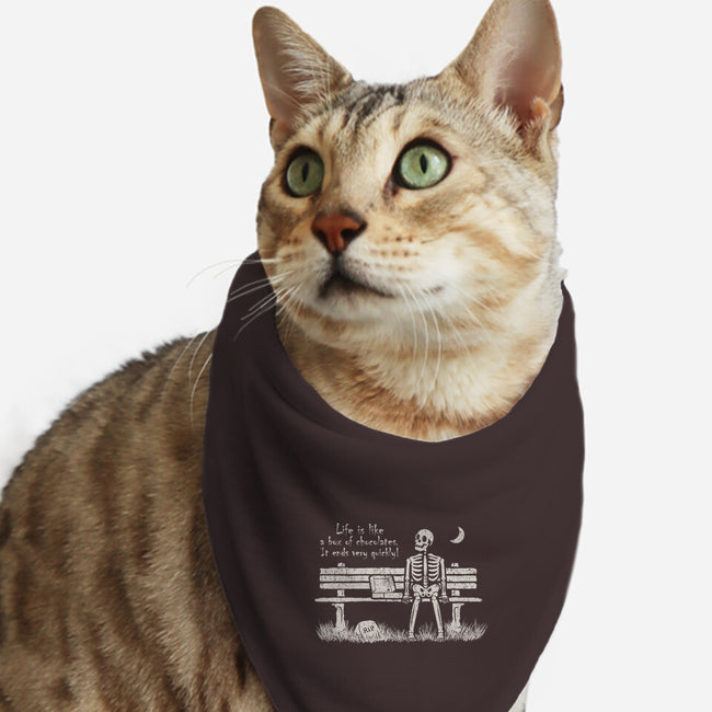 Forrest In Peace-Cat-Bandana-Pet Collar-NMdesign