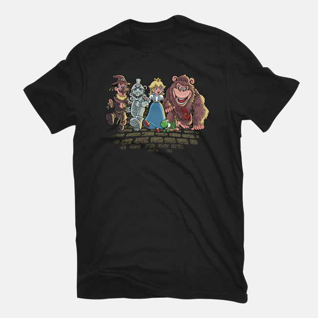 The Brothers Of Oz-Womens-Fitted-Tee-zascanauta