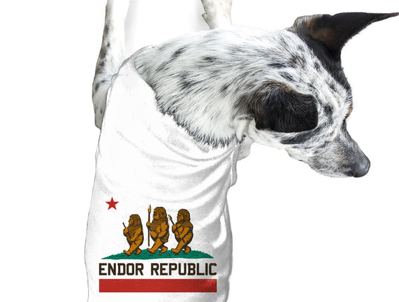 Endor Republic