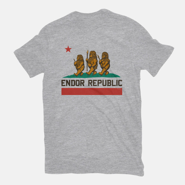 Endor Republic-Womens-Basic-Tee-Hafaell