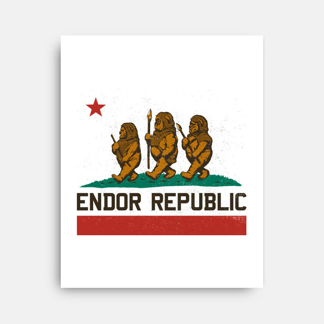 Endor Republic-None-Stretched-Canvas-Hafaell
