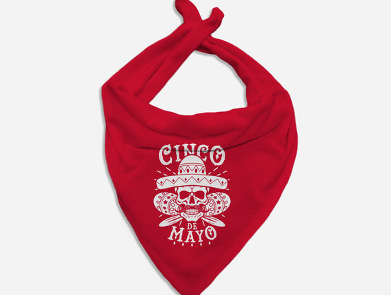 Cinco De Mayo Skull