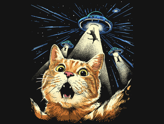 The Purrr-fect Abduction