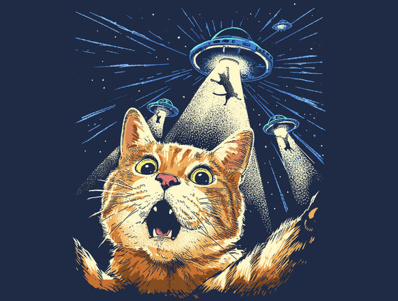 The Purrr-fect Abduction