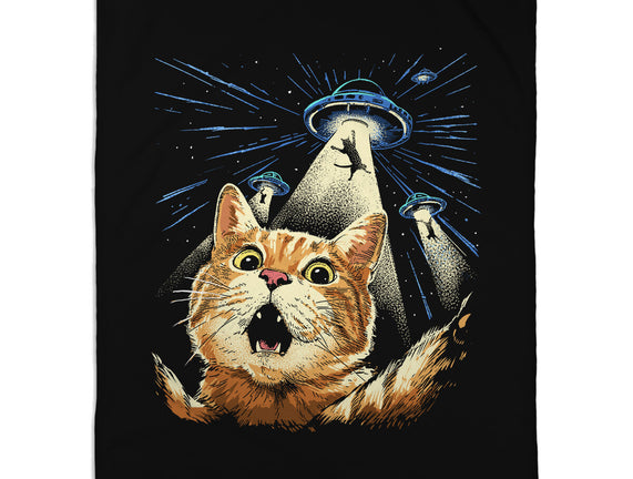 The Purrr-fect Abduction