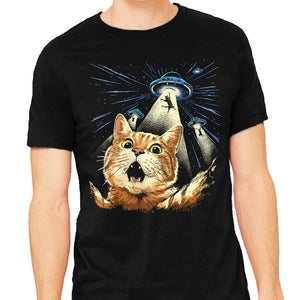 The Purrr-fect Abduction
