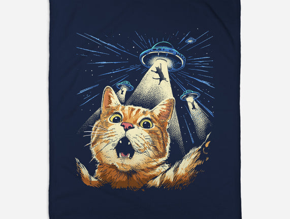 The Purrr-fect Abduction