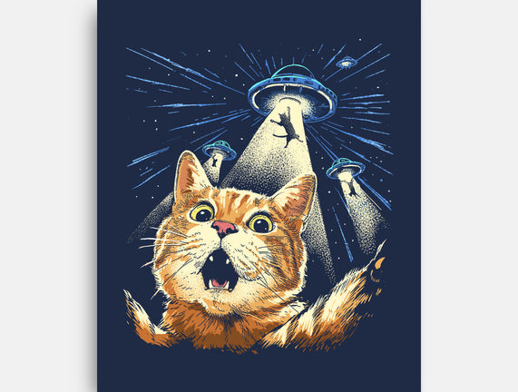 The Purrr-fect Abduction