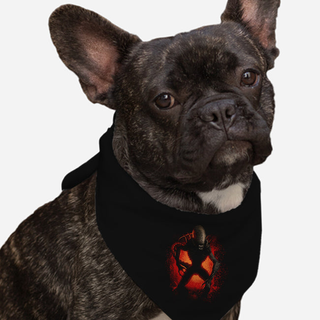 The Countdown-Dog-Bandana-Pet Collar-Tronyx79