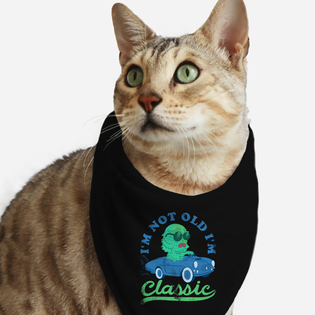 I'm Not Old I'm Classic-Cat-Bandana-Pet Collar-sachpica