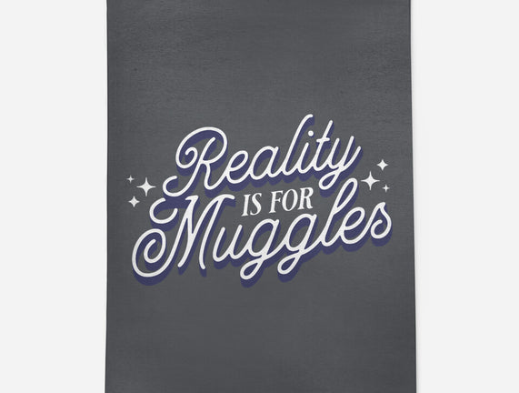 Reality Is For Muggles