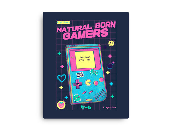 Natural Born Gamers