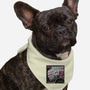 OCP Records-Dog-Bandana-Pet Collar-BadBox