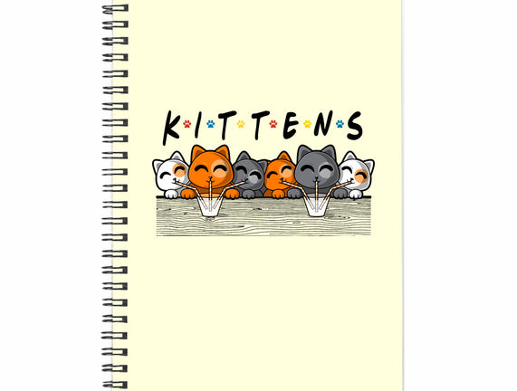 Kittens